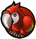 Hook Parrot