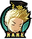Hero Icon
